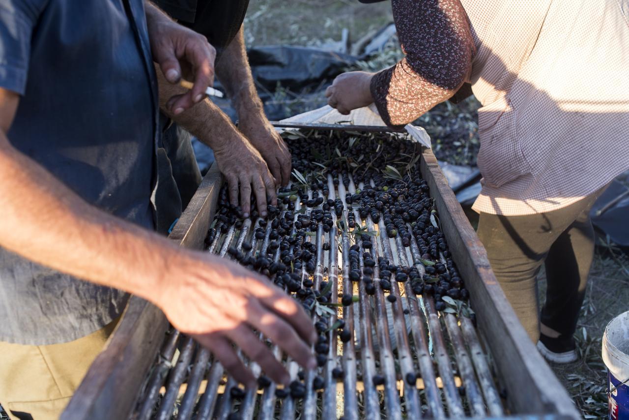 Herdade Das Barradas Da Serra Grândola エクステリア 写真