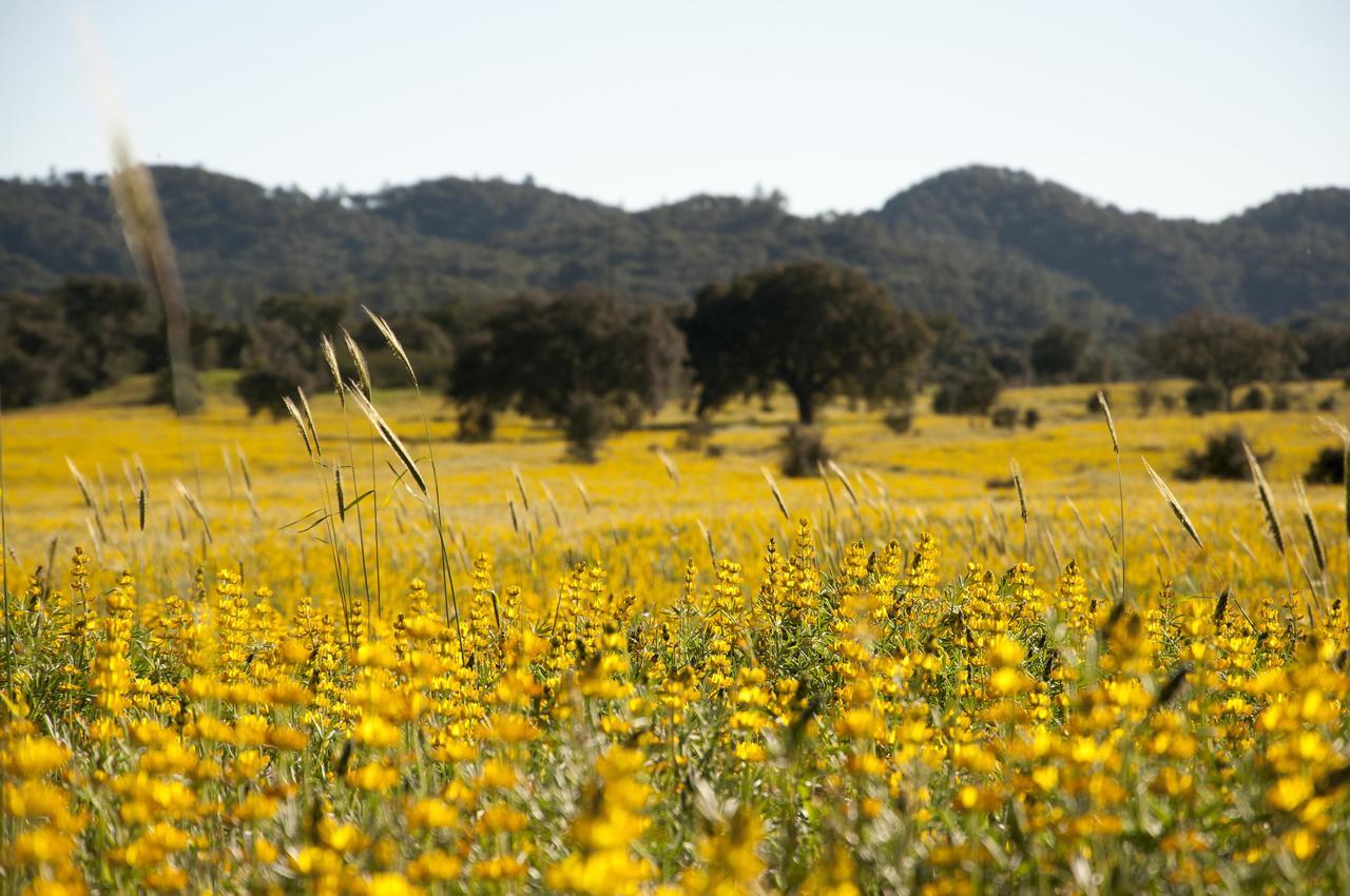 Herdade Das Barradas Da Serra Grândola エクステリア 写真
