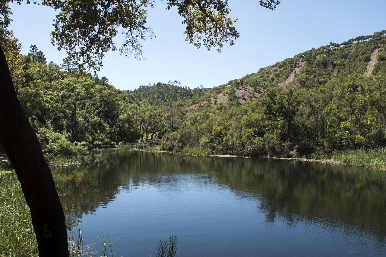 Herdade Das Barradas Da Serra Grândola エクステリア 写真