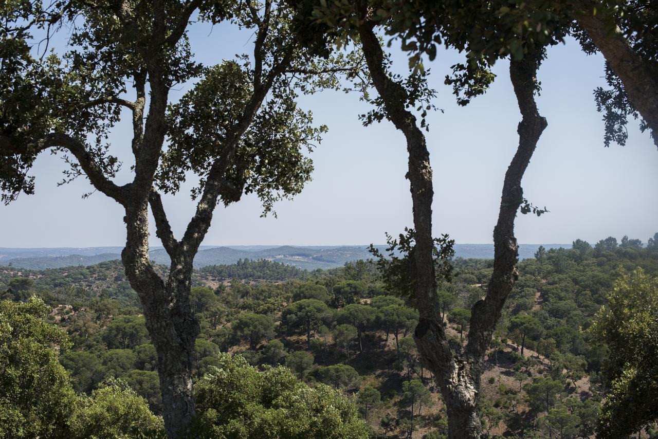 Herdade Das Barradas Da Serra Grândola エクステリア 写真